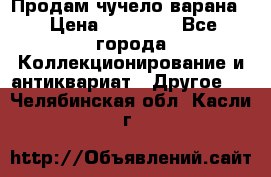 Продам чучело варана. › Цена ­ 15 000 - Все города Коллекционирование и антиквариат » Другое   . Челябинская обл.,Касли г.